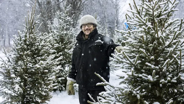 Joulukuusimyyjä Sauli Palosaari kuusiensa kanssa lumisessa talvisäässä.