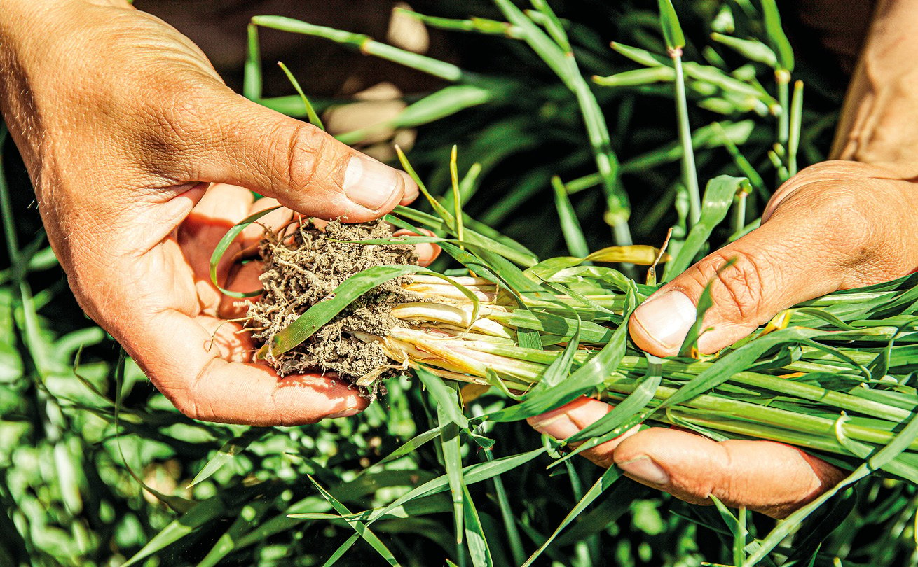 Soilfoodin valmistamia tuotteita käytetään esimerkiksi maanparannusaineina.