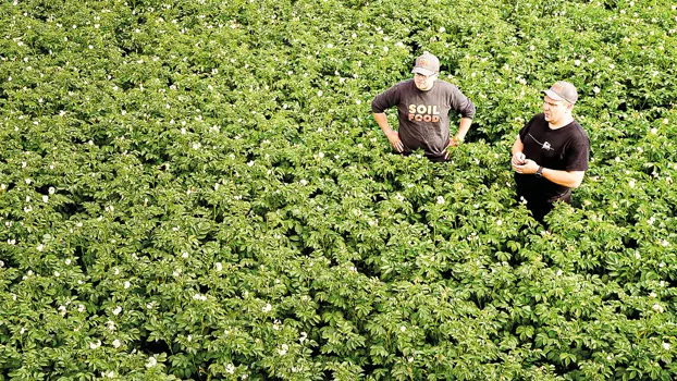 Soilfoodin tuotteissa teollisuuden sivuvirrat kääntyvät lannoitteiksi.
