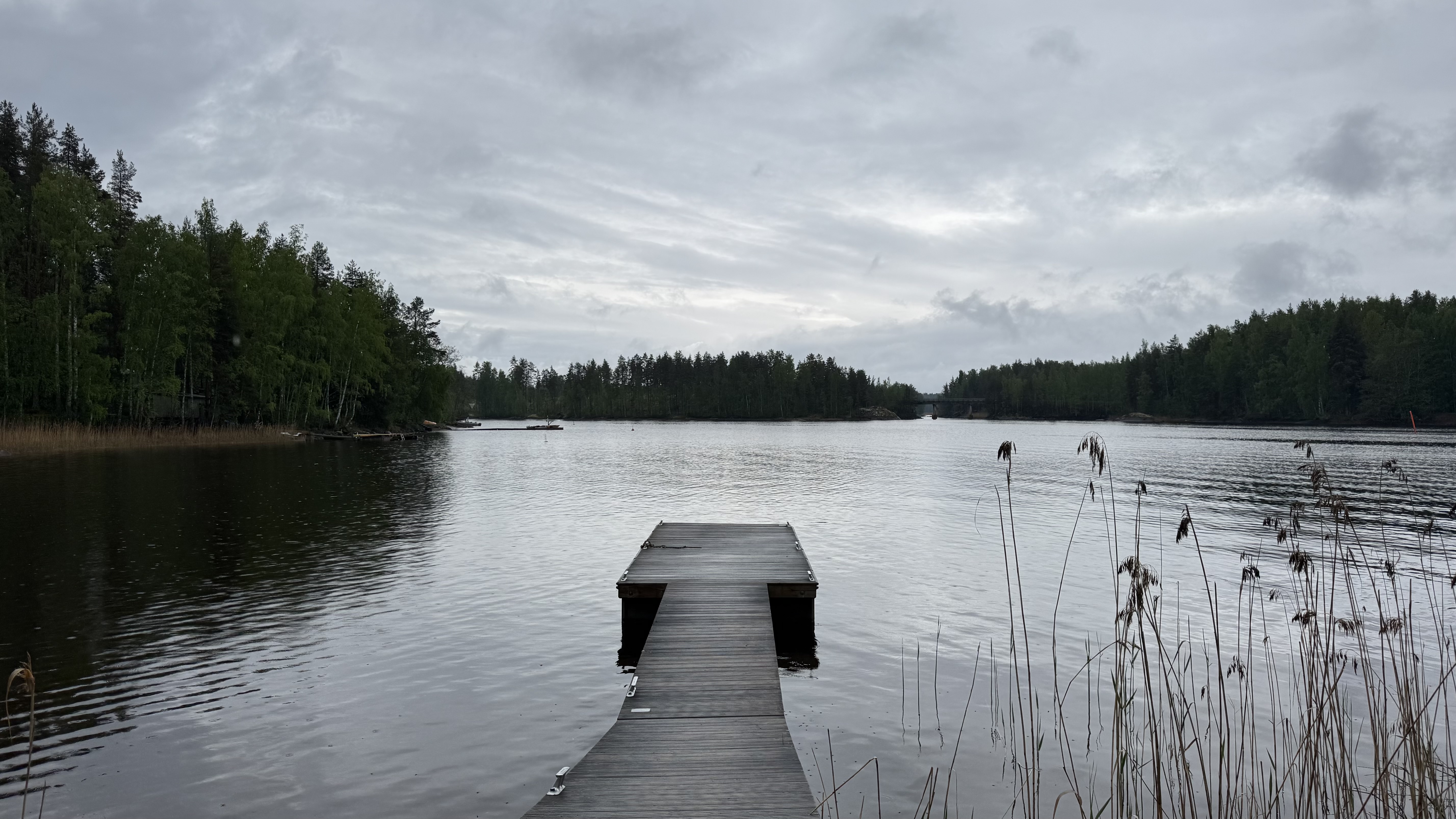 Alueen asukkaat havahtuivat vesistön heikentyneeseen tilaan.