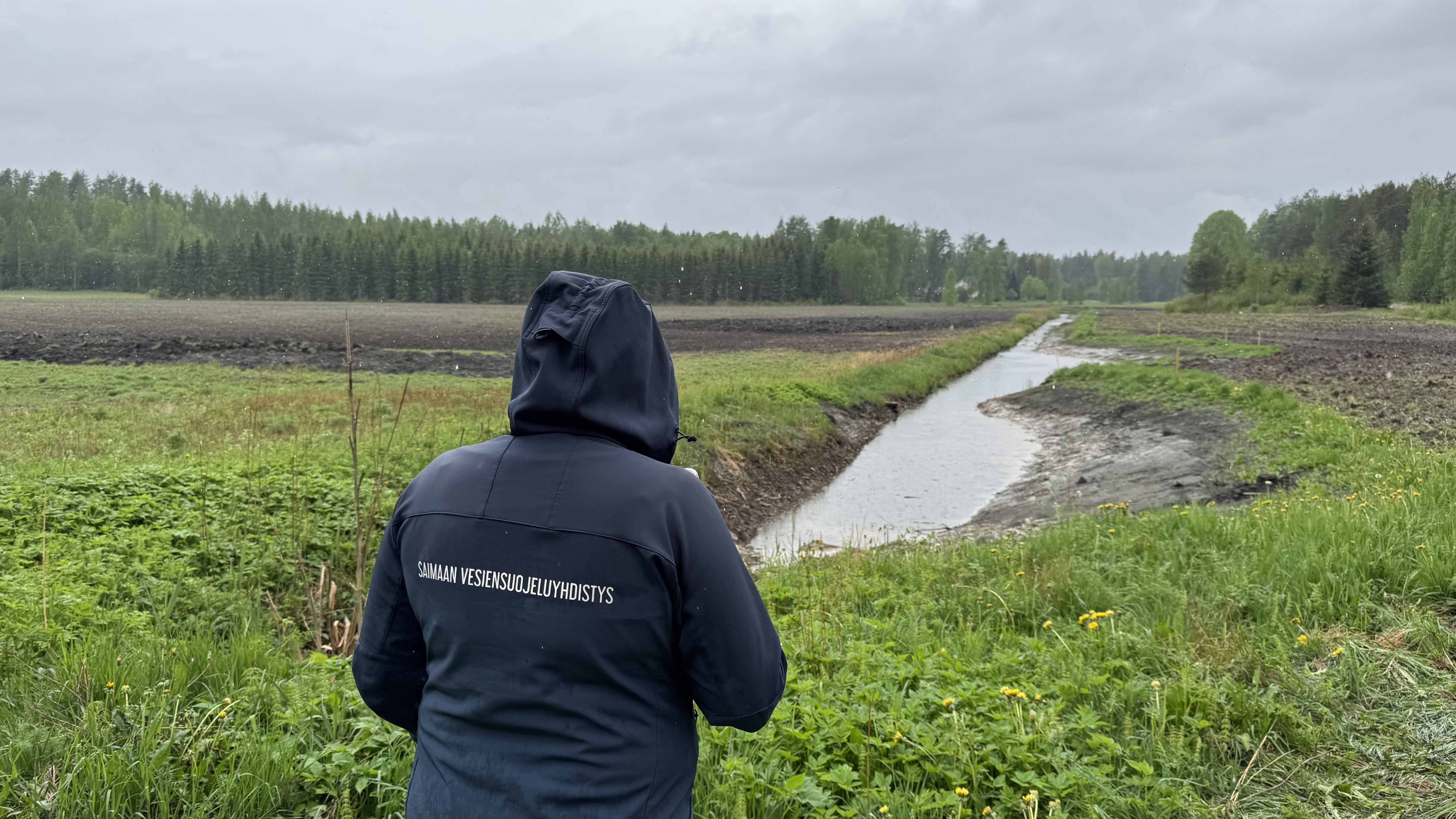 Pellolle rakennettu kosteikko tukee luonnon monimuotoisuutta.