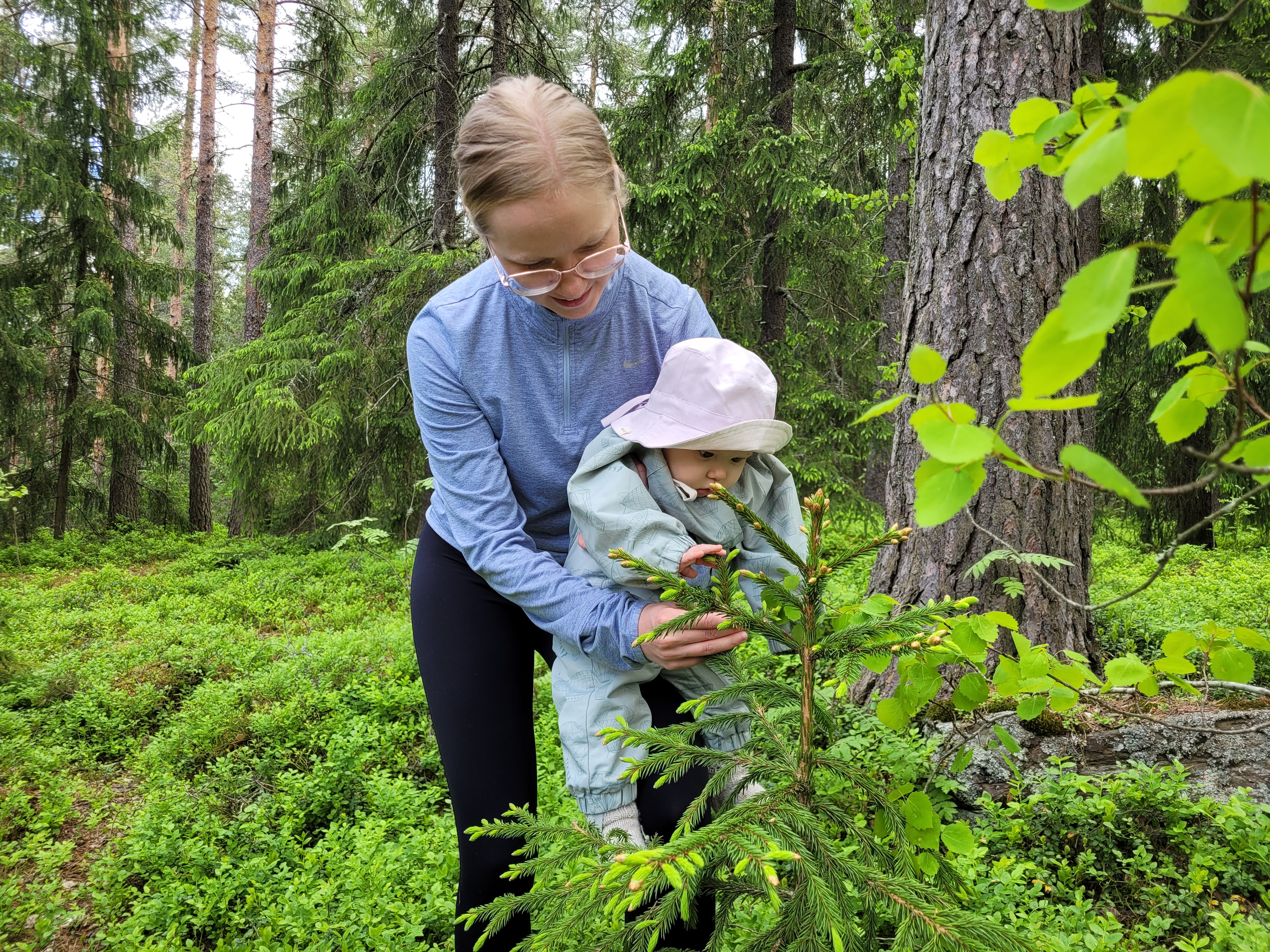 Petsamossa asuva Tinja Makkonen tuli luontotreffeille yhdessä puolivuotiaan Hillan kanssa. Metsästä löytyi monta ihmeellistä asiaa, kuten tämä pieni kuusen taimi.